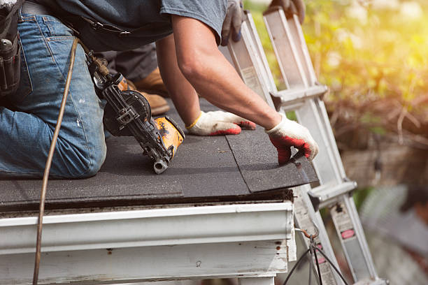 Best Roof Gutter Cleaning  in Aledo, IL